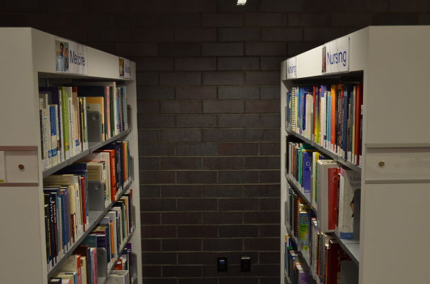 Eine gut organisierte Bibliothek mit Backsteinwänden, gefüllt mit ordentlich angeordneten Büchern auf Regalen, beleuchtet von einer Deckenlampe.