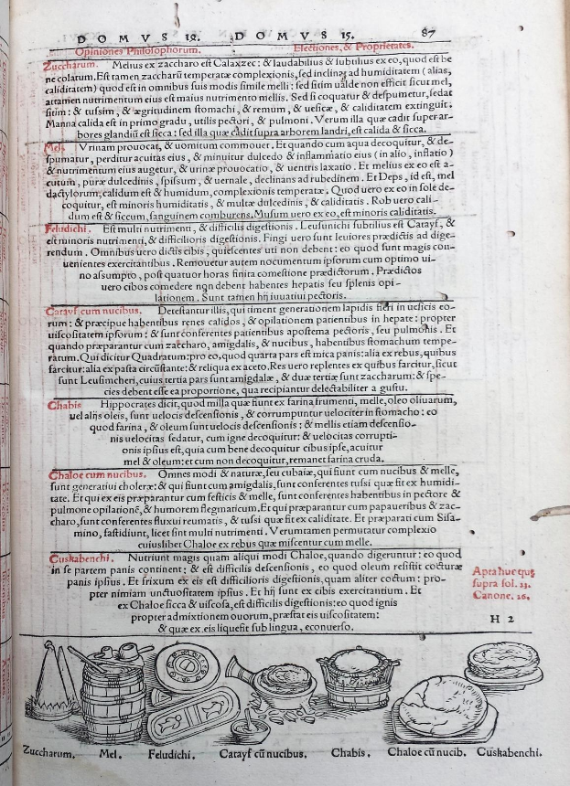 Offenes Buch mit detallierten Illustrationen von Obst, Gemüse und Getreide neben mehrfarbigem, variierendem Schriftbild.