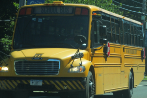 Ein Bus ist mit einem Baum im Hintergrund und einem Strommast oben rechts geparkt.