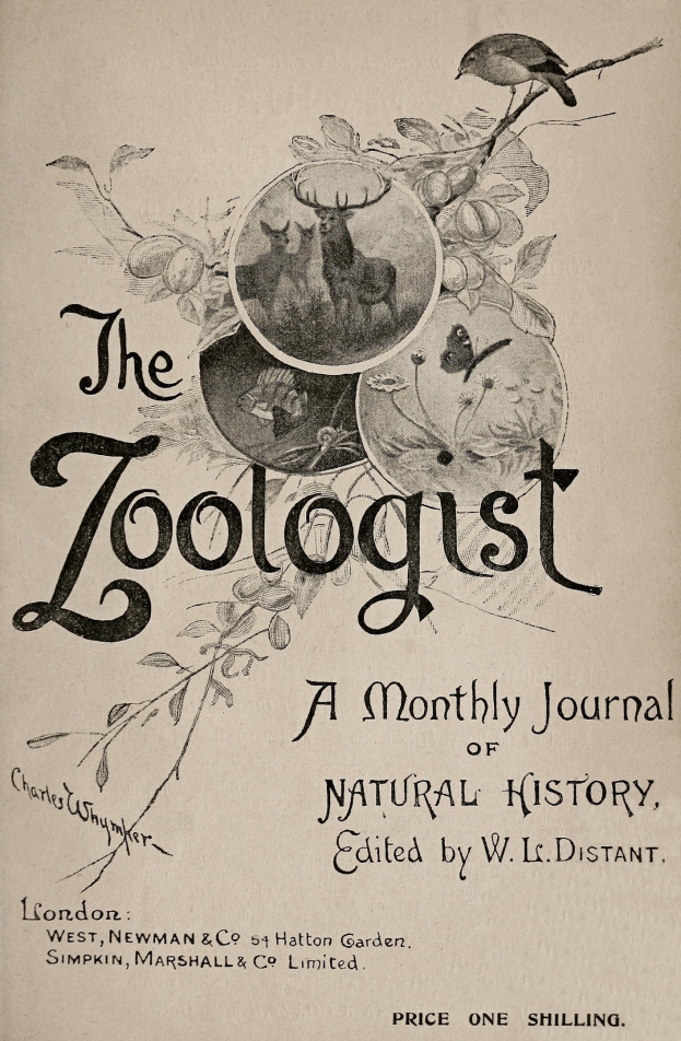 Ein Buch mit dem Titel "Der Zoologe: Ein monatliches Journal der Naturgeschichte" mit einem Vogel auf dem Cover umgeben von realistischen Darstellungen eines Rehs, Kaninchens und Fuchses sowie einer schwarzen, fetten Titelschrift oben.