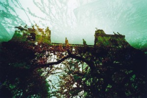 Baeume in der Nahe eines historischen Gebaudes mit einer Brucke.