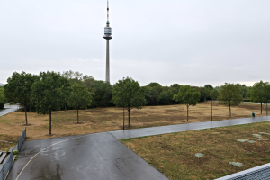 Blick auf den Berliner Fernsehturm von einem Hügel aus, mit Straße, Gras, Zaun, Bäumen, Pfählen und anderen Gegenständen im Vordergrund und dem Himmel im Hintergrund.
