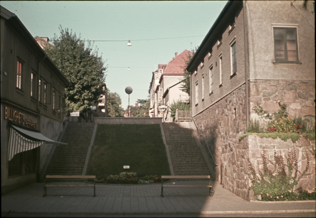 Altes Schwarz-Weiß-Foto einer Stadtstraße mit Gebäuden, Bäumen, Straßenlaternen, Treppen, Bänken, Namensschildern, Gras und Himmel im Hintergrund.