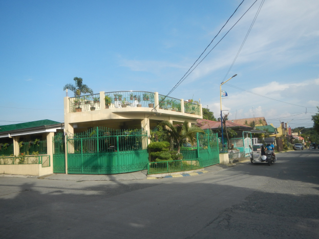 Eine Straße mit fahrenden Fahrzeugen, ein grünes Gebäude mit einem passenden Zaun, Geländern, Pflanzen, Bäumen, Strommasten mit Lampen und Drähten und eine Flagge, vor einem bewölkten Himmel.