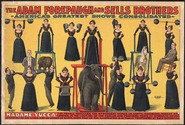 Plakat für die konsolidierte Zirkus-Show von Adam Forepaugh und Sells Brothers mit Performern auf Hockern und einem zentralen Elefanten mit Werbetext.
