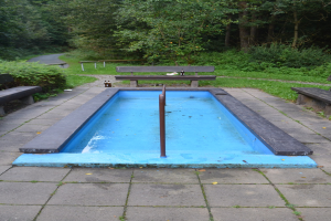 Ein kleiner Parkteich mit einem zentralen Pfahl, umgeben von B├Ąnken, Grün, einer Stra├če und B├Ąumen.