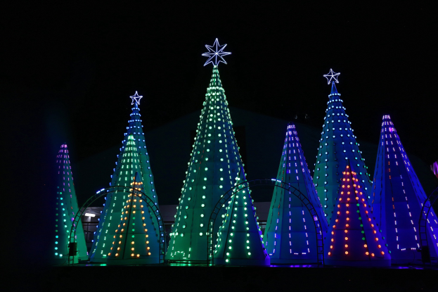 Eine Gruppe von Weihnachtsbäumen, die mit bunten Lichtern beleuchtet und mit Sternen geschmückt sind, in einer dunklen Umgebung.