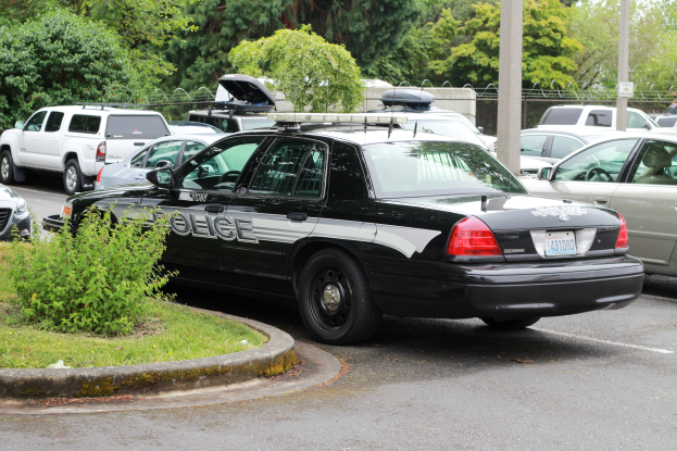 Ein Polizeiwagen auf einem Parkplatz mit anderen Fahrzeugen umgeben von Gruenpflanzen, Pfosten und einem Maschendrahtzaun unter einem klaren blauen Himmel.