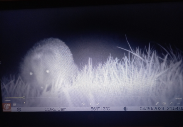 Ein Computerbildschirm mit einer Wolkenabbildung und begleitendem Text und Zahlen.