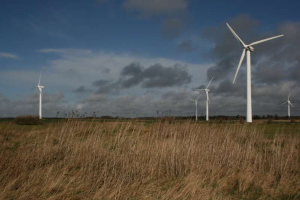 Ein Feld von Windkraftanlagen in einer grasigen Fläche mit Bäumen im Hintergrund und Wolken am Himmel, wahrscheinlich ein Windpark in den Niederlanden.
