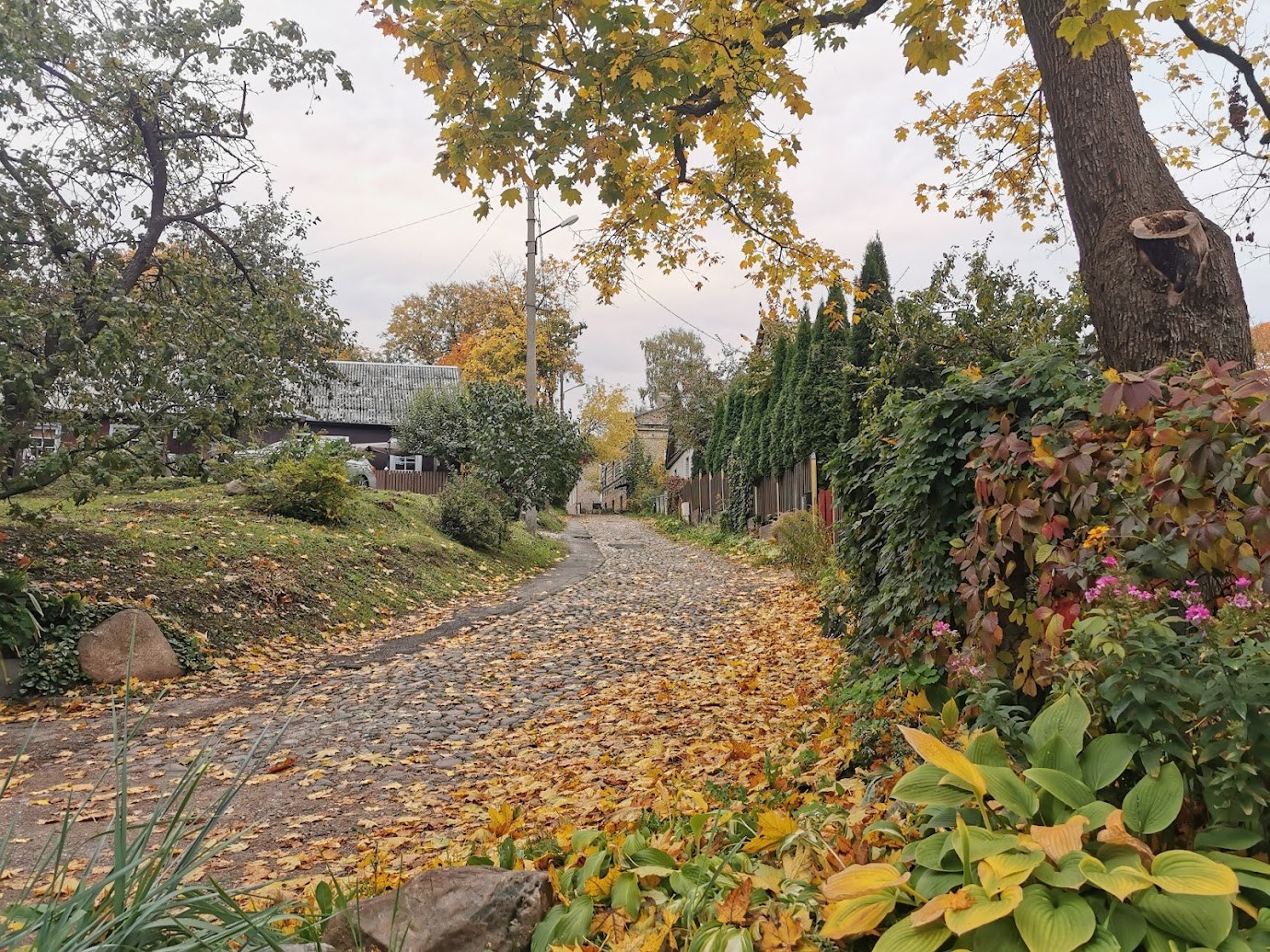 Ein Schotterweg, der von Bäumen und Sträuchern gesäumt ist und im Herbst seine Blätter verliert, führt zu Gebäuden, Strommästen und dem Himmel im Hintergrund, und farbenfrohe Pflanzen und Blumen auf der rechten Seite.