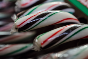 Verschiedene Pralinen ordentlich in einer Box angerichtet.