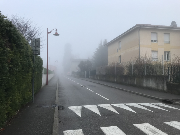 Eine neblige Straße mit einem Zebrastreifen, Bäumen auf der linken Seite, Gebäuden auf der rechten Seite und beleuchteten Straßenlaternen im Hintergrund.