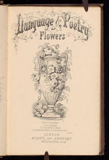 Offenes Buch mit dem Titel "Sprache und Poesie der Blumen" (1867) von Milner und Sowerby, das eine Zeichnung einer Vase mit Blumen zeigt.