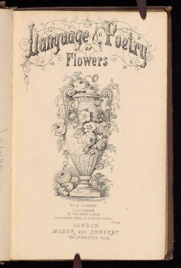 Offenes Buch mit dem Titel "Sprache und Poesie der Blumen" (1867) von Milner und Sowerby, das eine Zeichnung einer Vase mit Blumen zeigt.